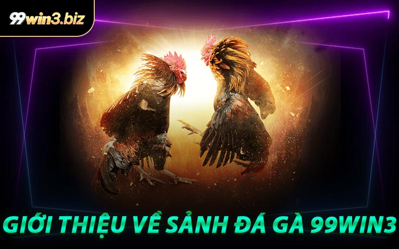 Giới Thiệu Về Sảnh Đá Gà 99WIN3