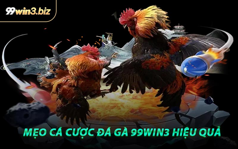 Mẹo Cá Cược Đá Gà 99WIN3 Hiệu Quả