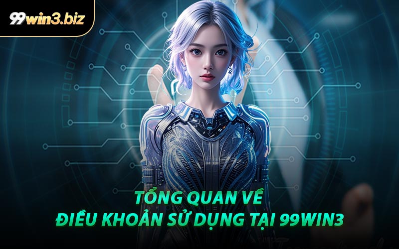 Tổng Quan Về Điều Khoản Sử Dụng Tại 99WIN3